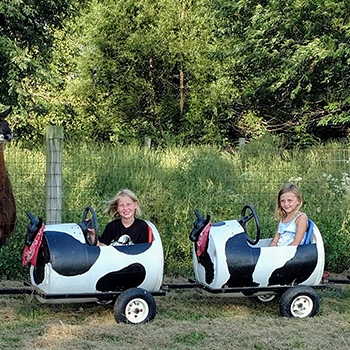 The Knollbrook Farms Family Friendly Cow Train